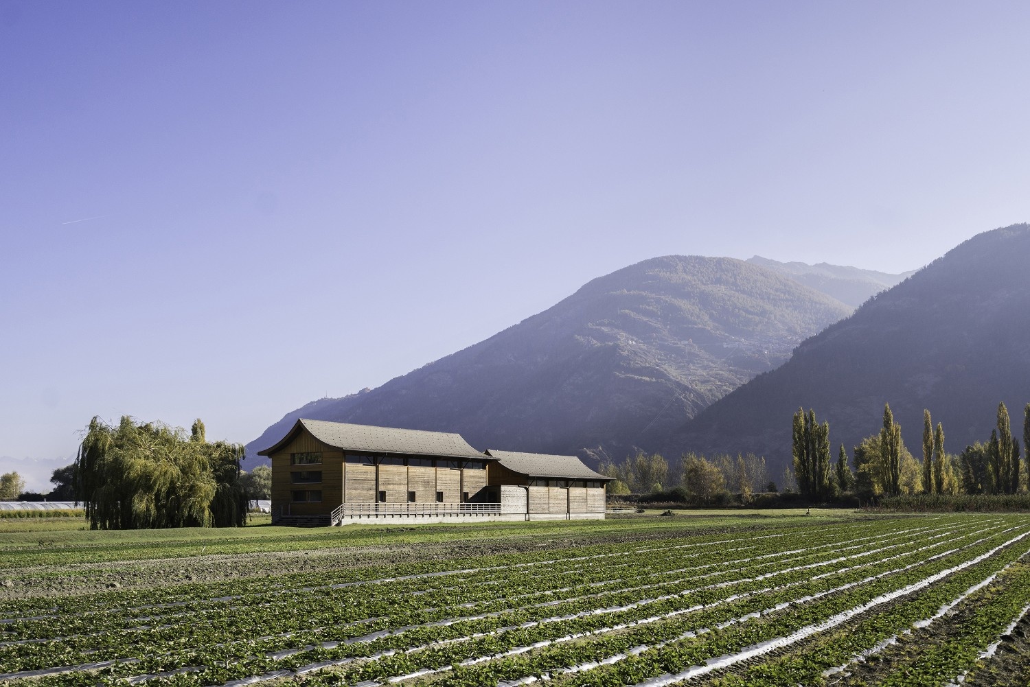 Swiss Dojo – Centre d’Arts corporels et de Culture